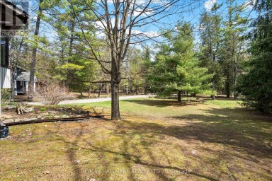 25 LITTLE SILVER LAKE WAY Trent Lakes Ontario photo 34
