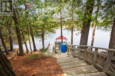 25 LITTLE SILVER LAKE WAY Trent Lakes Ontario photo 38