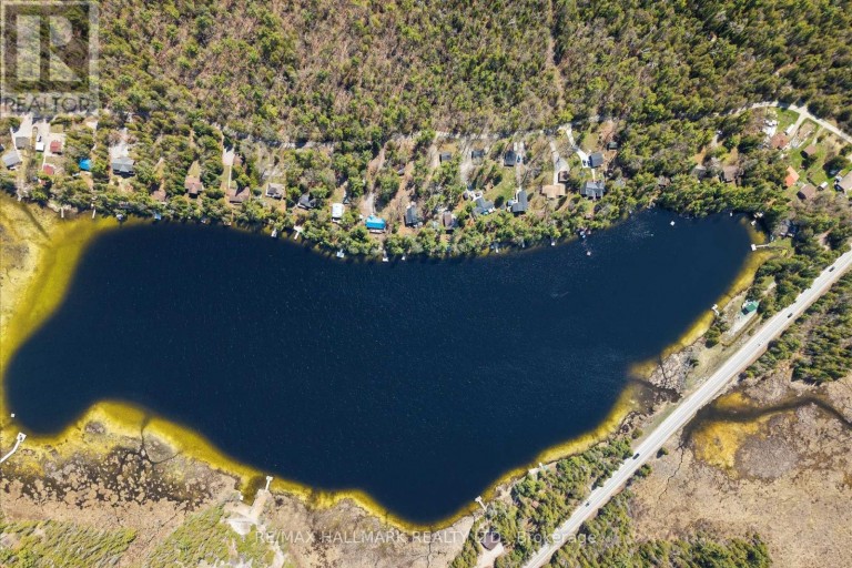 25 LITTLE SILVER LAKE WAY, Trent Lakes, Ontario, K0M1A0