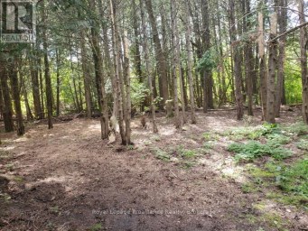 3526 HARMONY ROAD Tyendinaga (Tyendinaga Township) Ontario photo 49