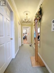 14 DUNDAS STREET E Greater Napanee (Greater Napanee) Ontario photo 8
