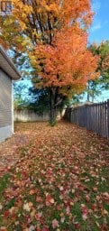 8 LENECK AVENUE Brampton (Northwood Park) Ontario photo 50