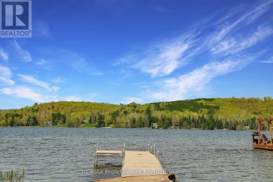 1130 FADER DRIVE Algonquin Highlands (Stanhope) Ontario photo 4