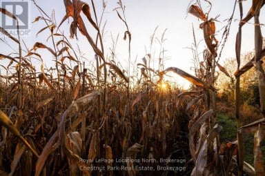 324310 27 SIDE ROAD Meaford Ontario photo 36