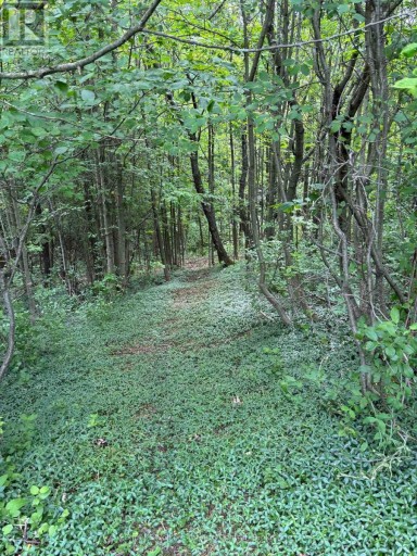 317343 3RD LINE, Meaford, Ontario, N4L1W7