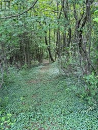 317343 3RD LINE Meaford Ontario photo 24