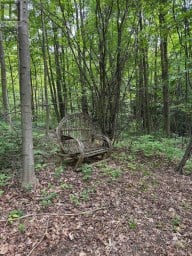 317343 3RD LINE Meaford Ontario photo 25