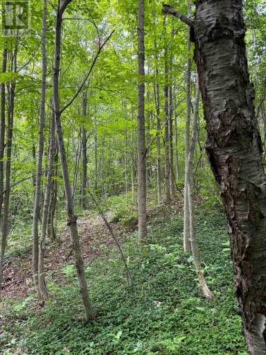 317343 3RD LINE, Meaford, Ontario, N4L1W7