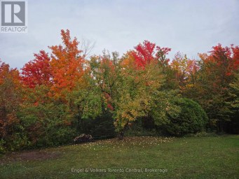 317343 3RD LINE Meaford Ontario photo 40