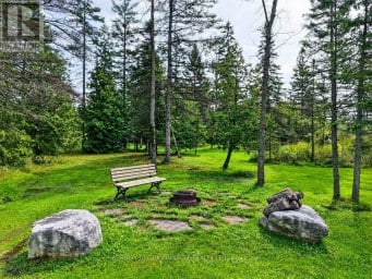 838 TRACEYS HILL ROAD Kawartha Lakes (Emily) Ontario photo 35