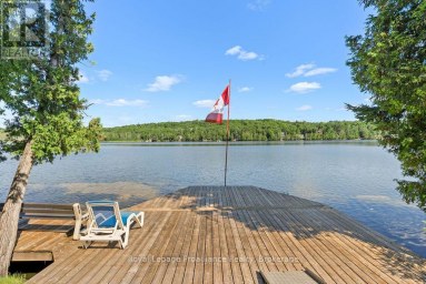 5 WATER - GUNTER LAKE Tudor and Cashel (Cashel Ward) Ontario photo 26