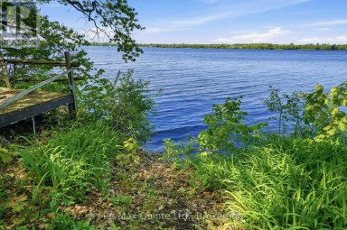 1678 COUNTY ROAD 3 ROAD Prince Edward County (Ameliasburg Ward) Ontario photo 34