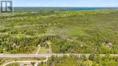 518 COUNTY RD 6 ROAD Douro-Dummer Ontario photo 43