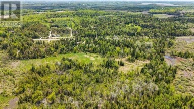 518 COUNTY RD 6 ROAD Douro-Dummer Ontario photo 45