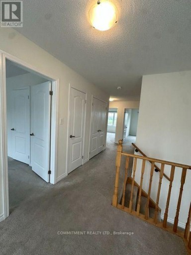 14 SHAPIRA AVENUE, Wasaga Beach, Ontario, L9Z0K2