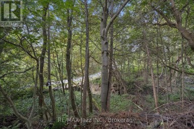 364 KING STREET E Clarington (Bowmanville) Ontario photo 26