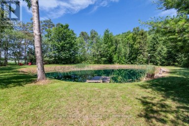 8480 TOSORONTIO SIDEROAD 20 SIDE ROAD Adjala-Tosorontio Ontario photo 45