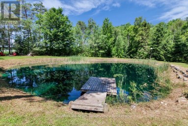 8480 TOSORONTIO SIDEROAD 20 SIDE ROAD Adjala-Tosorontio Ontario photo 46