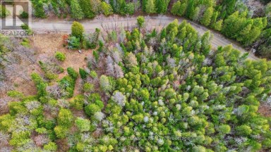 1860 NORTH ROAD Frontenac (Frontenac North) Ontario photo 10