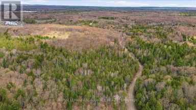1860 NORTH ROAD Frontenac (Frontenac North) Ontario photo 12