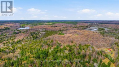 1860 NORTH ROAD Frontenac (Frontenac North) Ontario photo 13