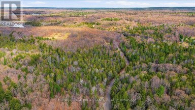 1860 NORTH ROAD Frontenac (Frontenac North) Ontario photo 5