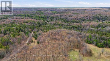 1860 NORTH ROAD Frontenac (Frontenac North) Ontario photo 7