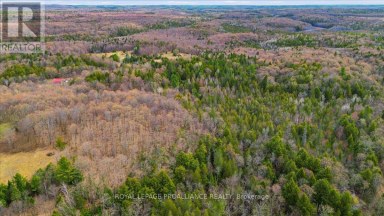 1860 NORTH ROAD Frontenac (Frontenac North) Ontario photo 9