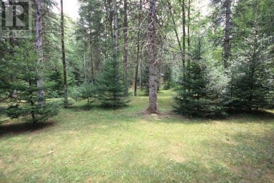 1082 GREEN LAKE ROAD Algonquin Highlands (Stanhope) Ontario photo 32