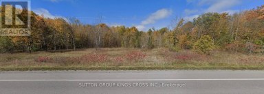 COUNTY ROAD 48 PORTAGE ROAD Kawartha Lakes (Bexley) Ontario photo 1