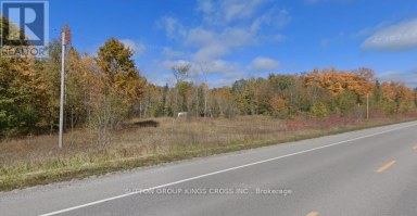 COUNTY ROAD 48 PORTAGE ROAD Kawartha Lakes (Bexley) Ontario photo 2