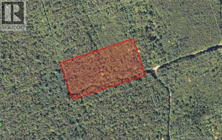 Recreational Lot 2 Green Road, Elgin, New Brunswick, E4Z1T6
