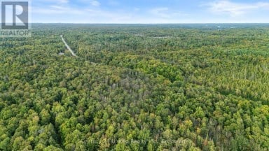 456 COUNTY ROAD 620 North Kawartha Ontario photo 1