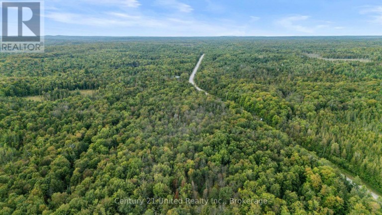 456 COUNTY ROAD 620, North Kawartha, Ontario, K0L1A0