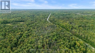 456 COUNTY ROAD 620 North Kawartha Ontario photo 10