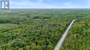 456 COUNTY ROAD 620 North Kawartha Ontario photo 11