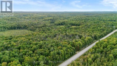 456 COUNTY ROAD 620 North Kawartha Ontario photo 12