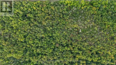 456 COUNTY ROAD 620 North Kawartha Ontario photo 3