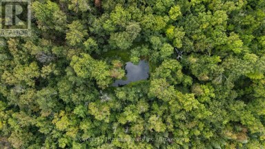 456 COUNTY ROAD 620 North Kawartha Ontario photo 4