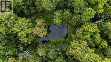456 COUNTY ROAD 620 North Kawartha Ontario photo 5
