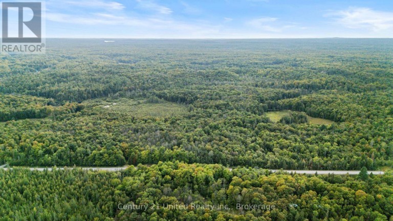 456 COUNTY ROAD 620, North Kawartha, Ontario, K0L1A0