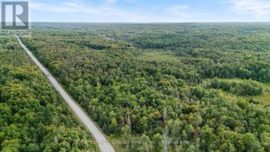 456 COUNTY ROAD 620 North Kawartha Ontario photo 7