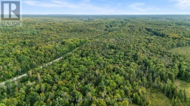 456 COUNTY ROAD 620 North Kawartha Ontario photo 8