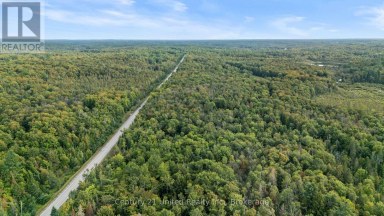 456 COUNTY ROAD 620 North Kawartha Ontario photo 9