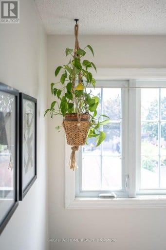 54 NIAGARA PLACE, Brampton (Westgate), Ontario, L6S4Y8