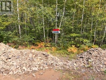 Recreational Woodlot Green Road Elgin New Brunswick photo 1