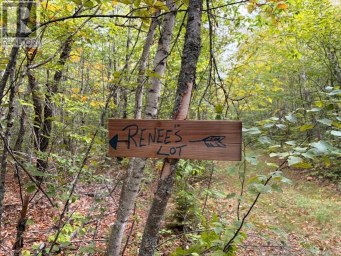 Recreational Woodlot Green Road Elgin New Brunswick photo 2