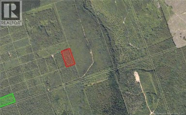 Recreational Woodlot Green Road Elgin New Brunswick photo 4