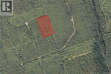 Recreational Woodlot Green Road Elgin New Brunswick photo 5