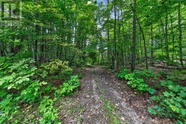 1139 RIVER ROAD Frontenac (Frontenac North) Ontario photo 49